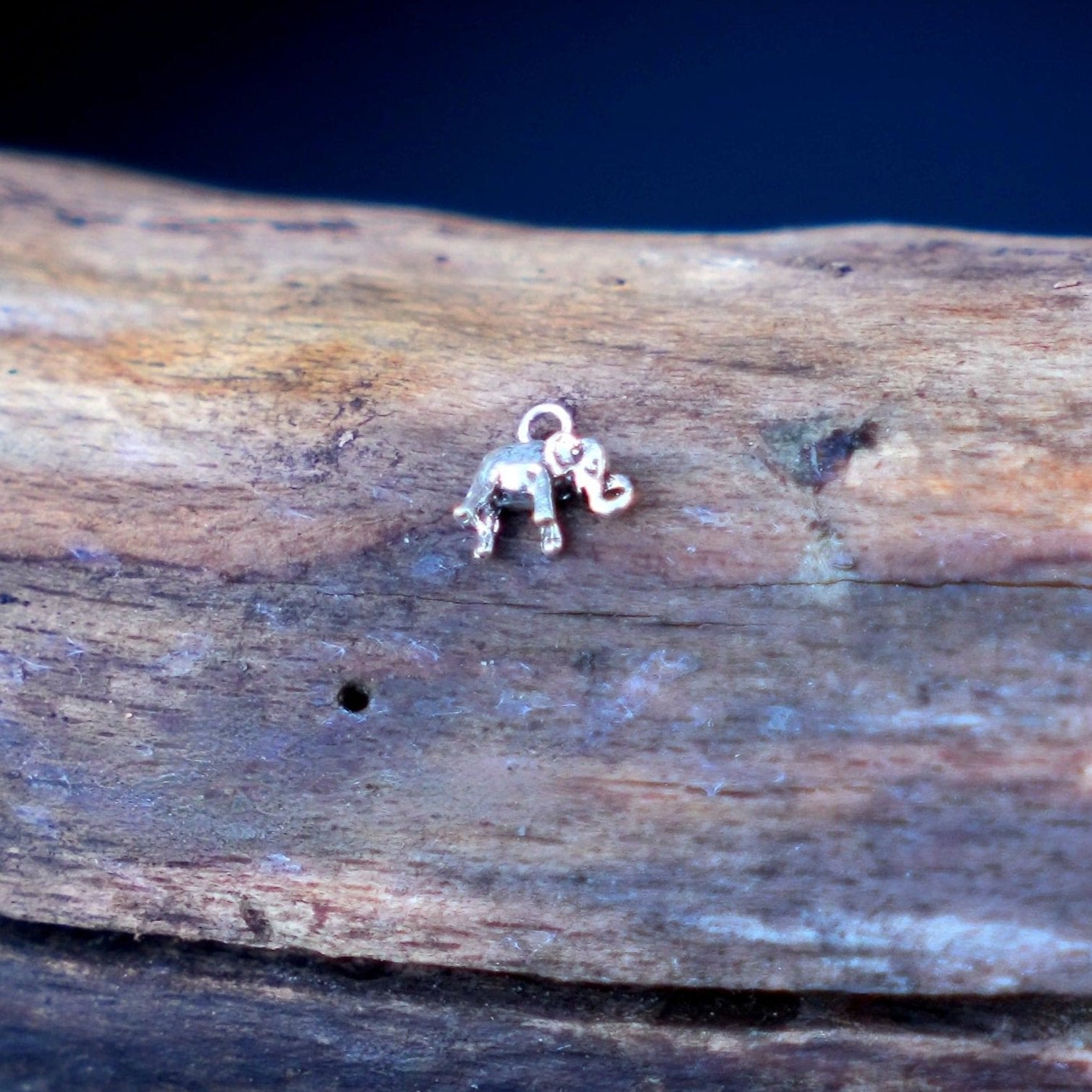 zilveren bedeltje voor oorring in de vorm van een olifant